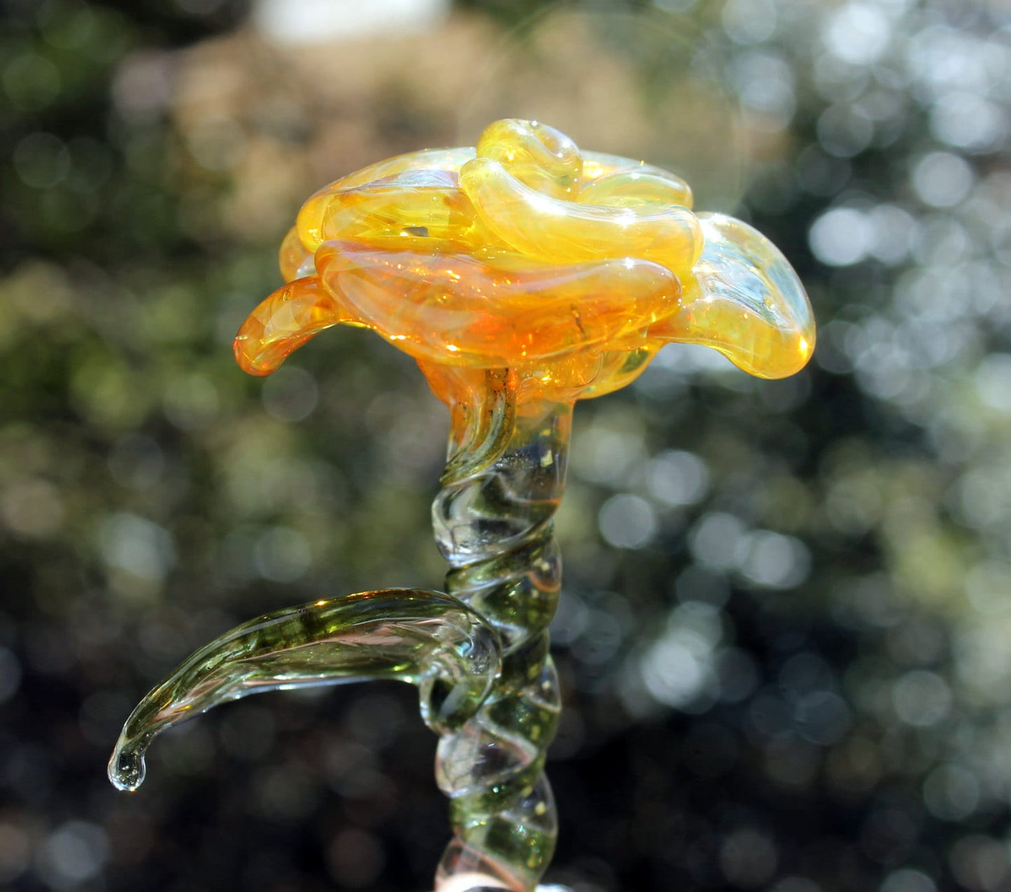 Yellow Glass Rose