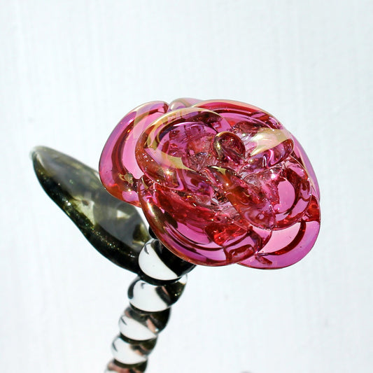 Pink Gold Fumed Glass Rose