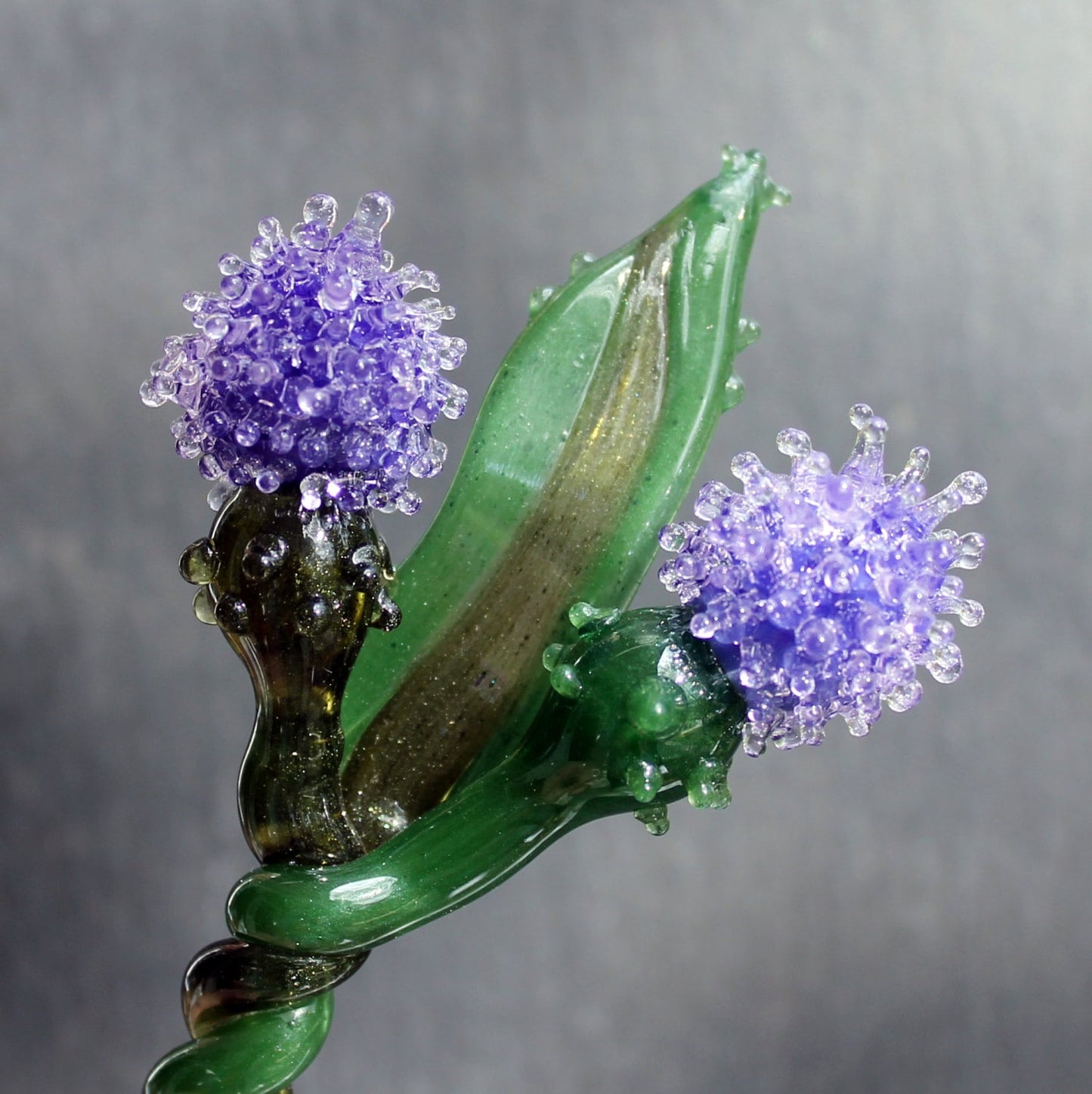 Glass Thistle Purple Long Stem Flowers